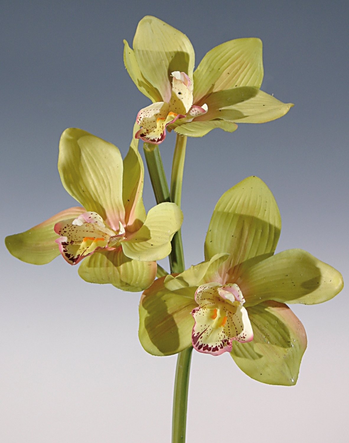 Faux orchid cymbidium, 46 cm, real touch, green