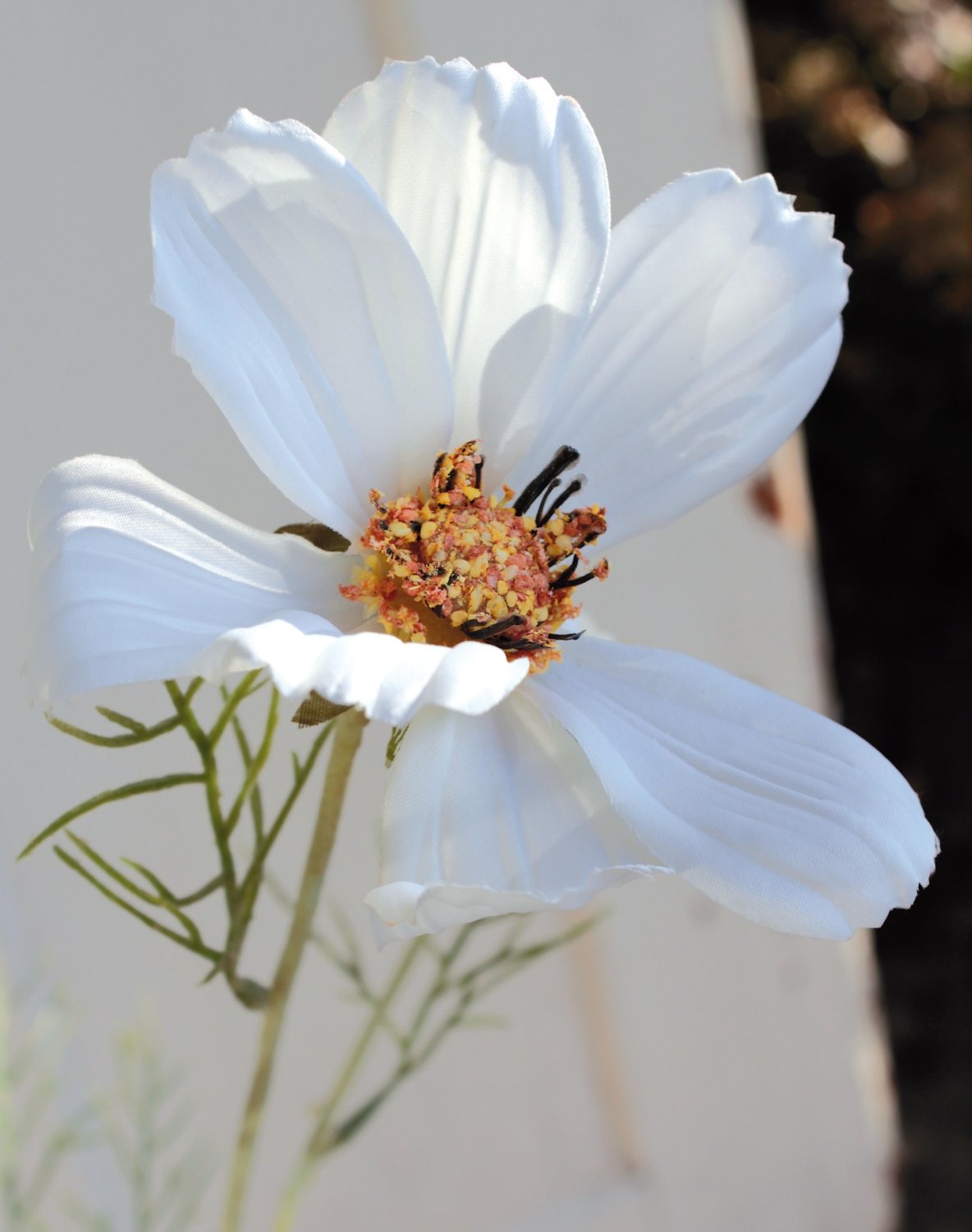 Künstliche Cosmea, 95 cm, creme-weiß