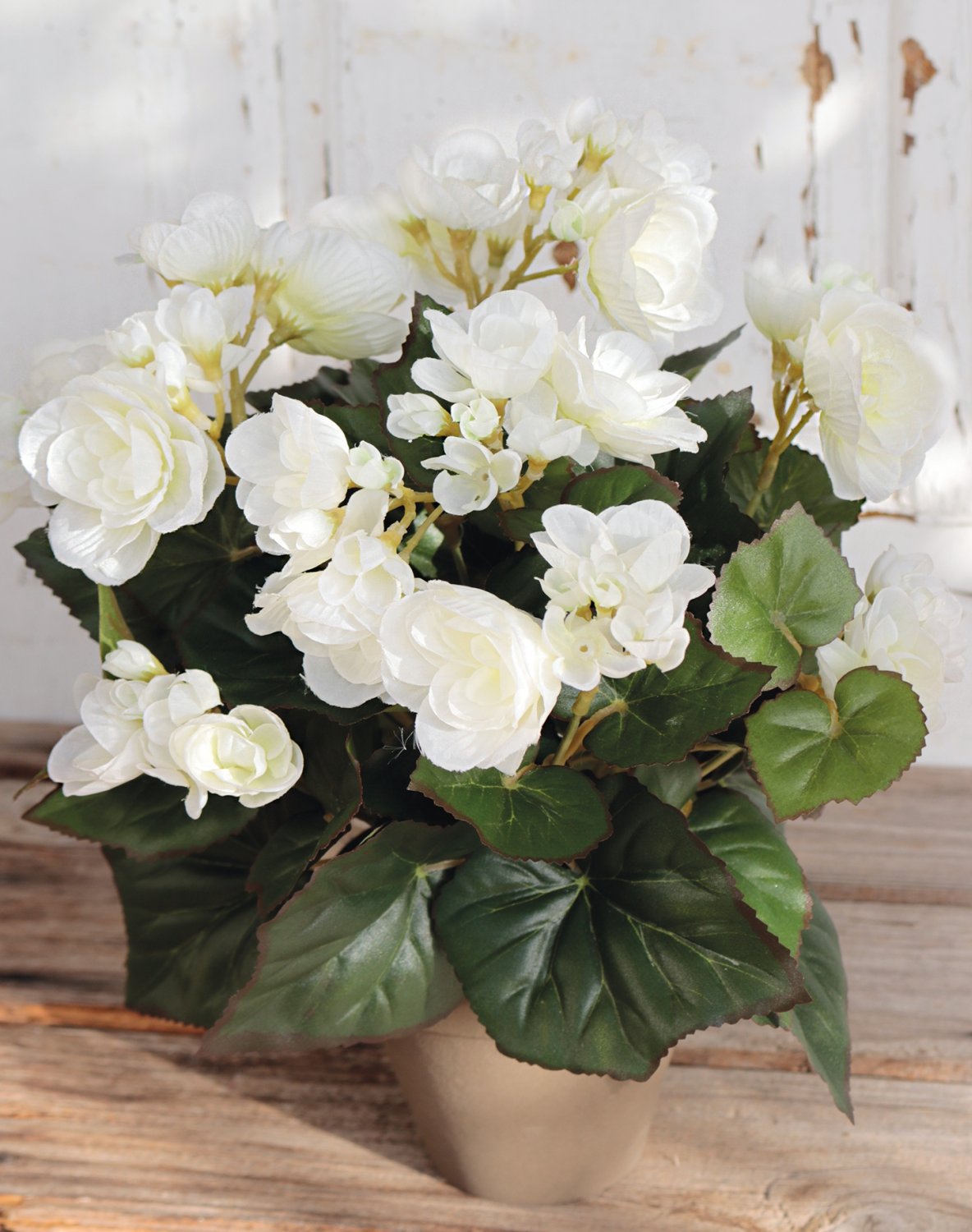 White Amaryllis 25" High Faux Flower Arrangement 
