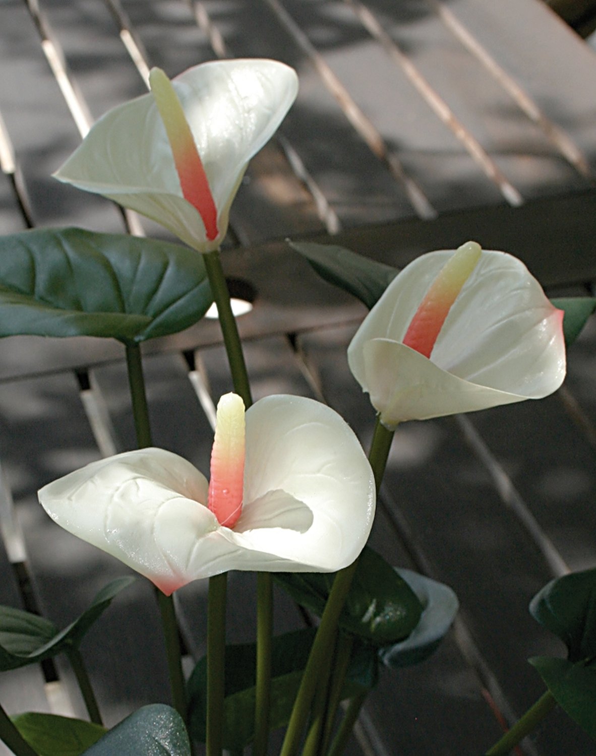 Künstliche Anthurium, getopft, 39 cm, weiß-rosa