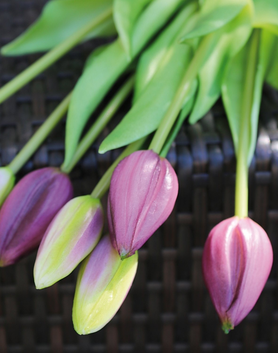 Künstlicher Tulpenbund, 7-fach, 44 cm, Real Touch, violett-grün