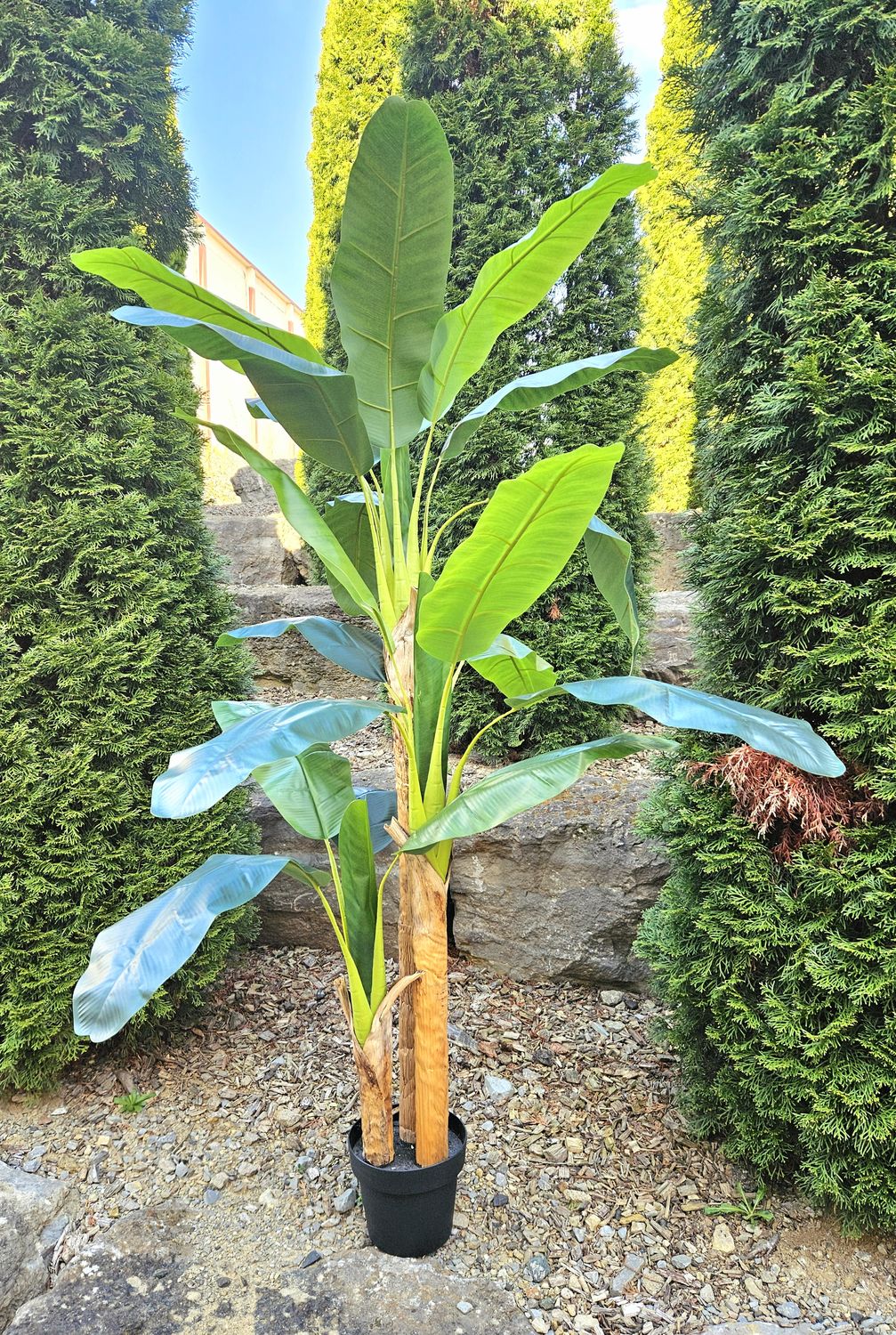 Artificial banana tree group, 3 stems, potted, 180 cm, green