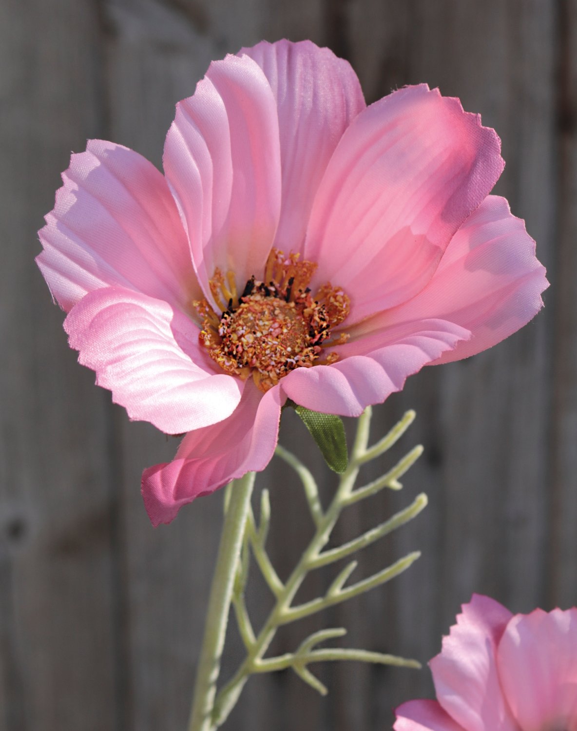 Künstliche Cosmea, 95 cm, hellrosa-dunkelrosa