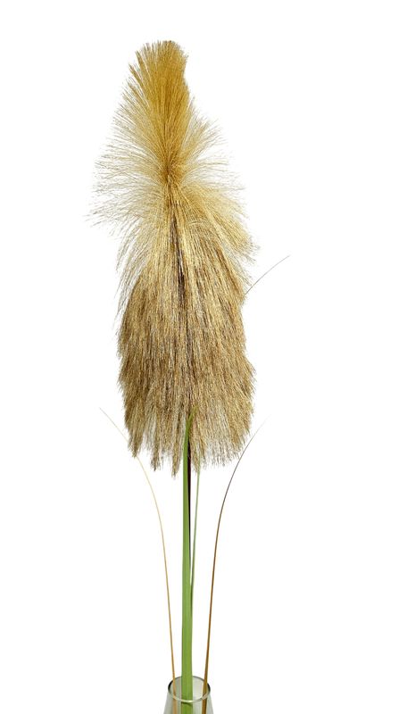 Artificial pampas grass fronds, 170 cm, green-brown