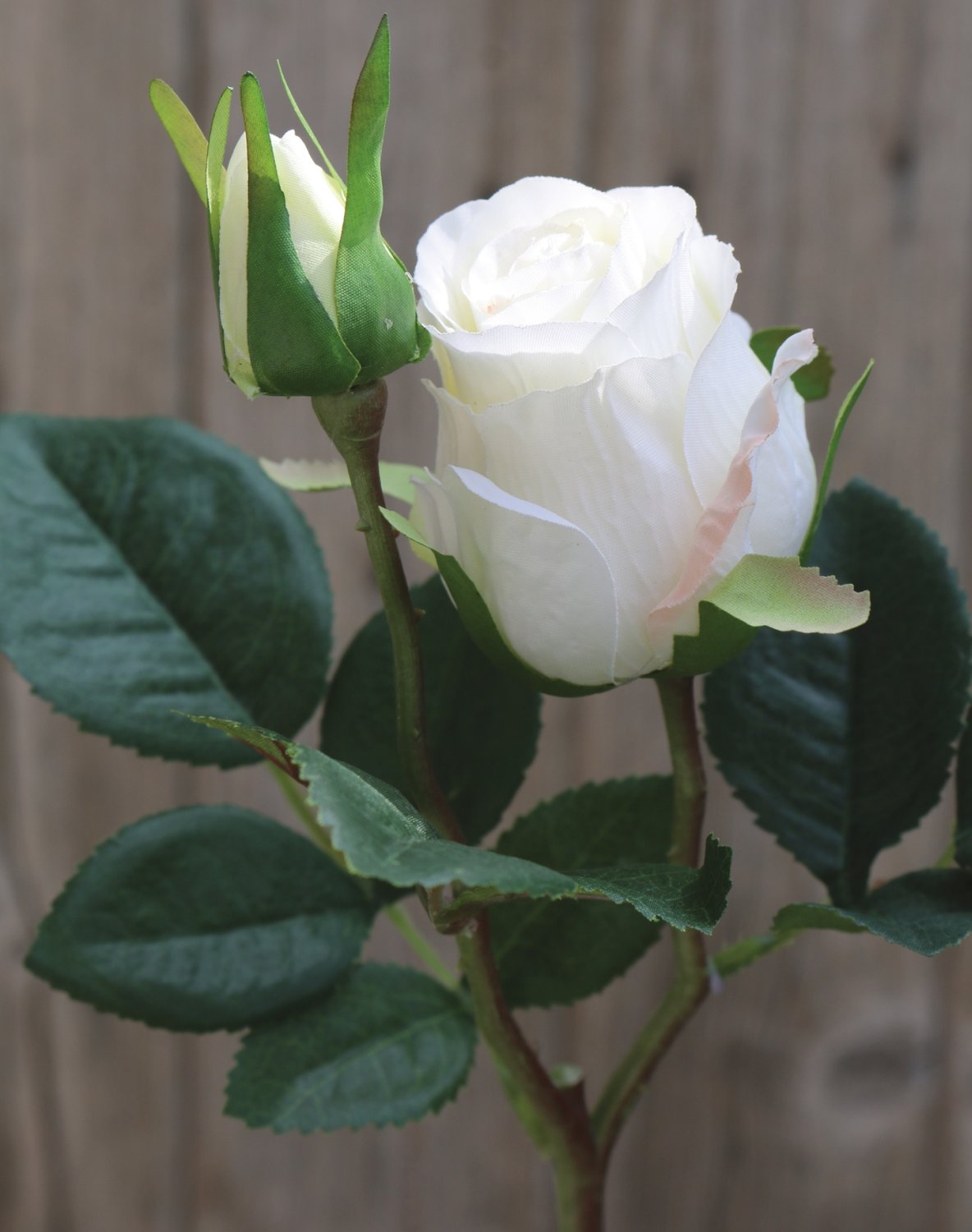 Rosa artificiale, 1 fiore, 1 bocciolo, 45 cm, bianco-crema