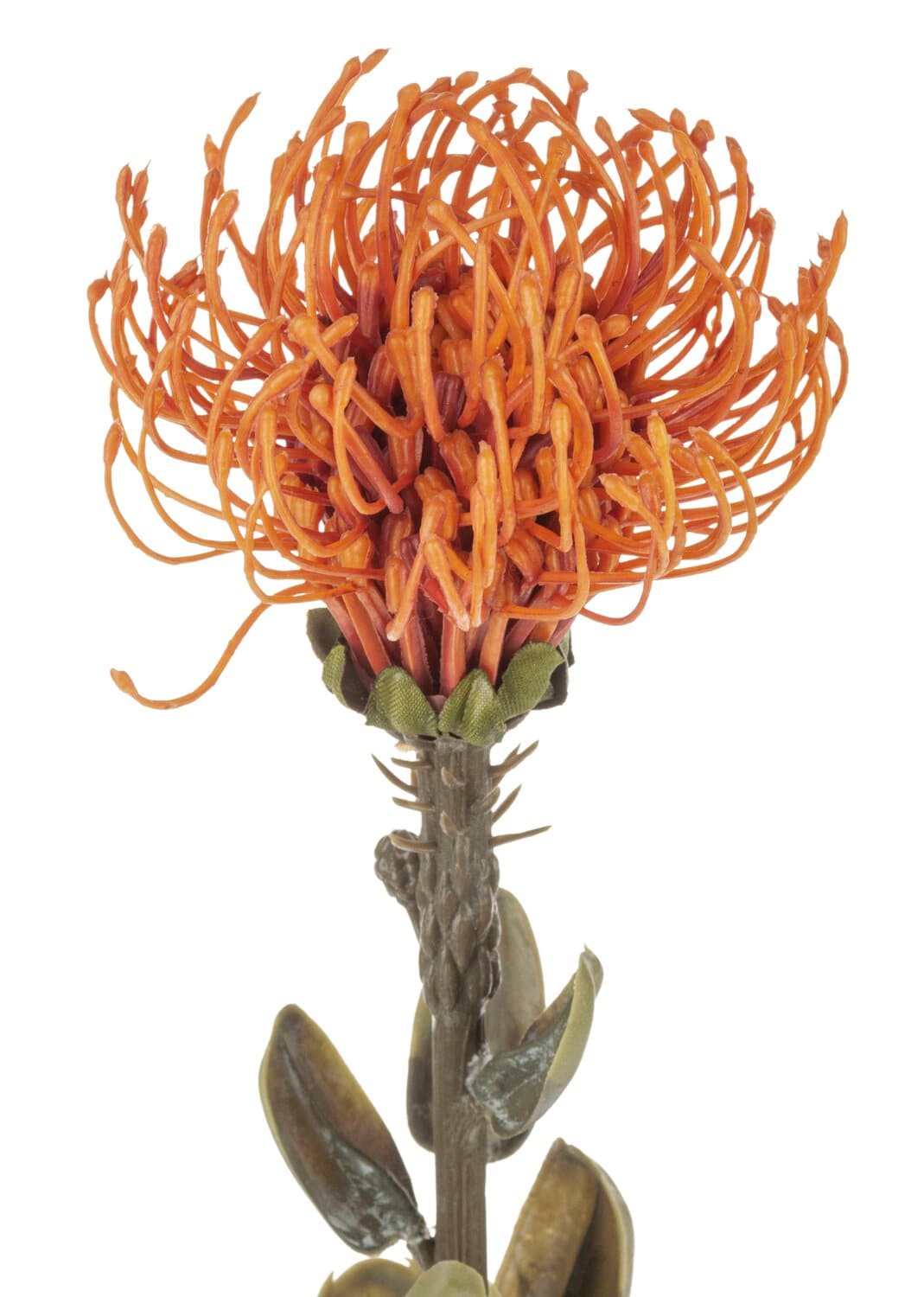 Künstliche Protea "Vintage", 61 cm, orange