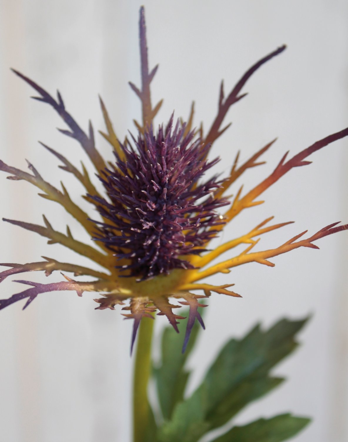 Faux thistle, 3 flowers 83 cm, light violet