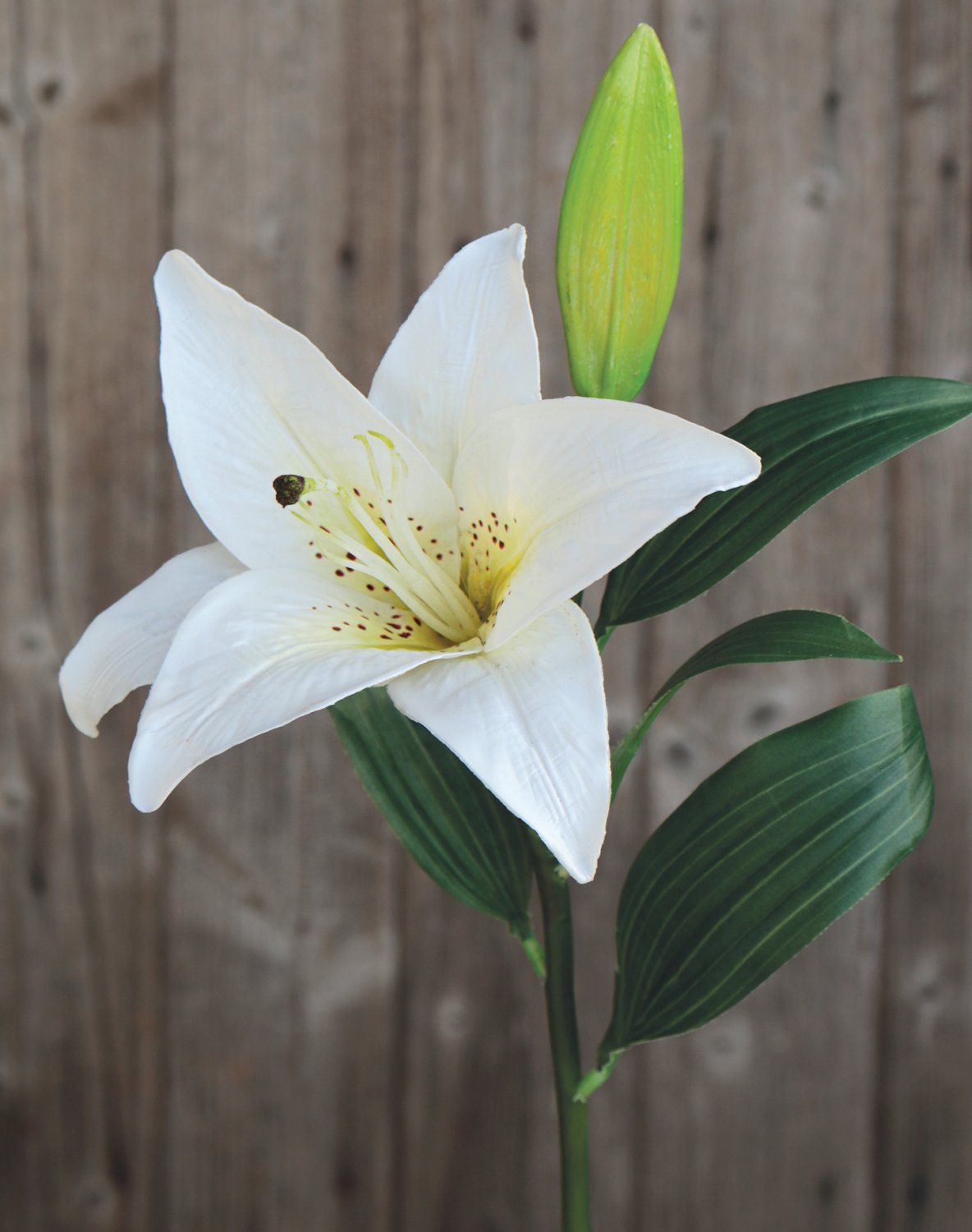 Künstliche Lilie, 45 cm, weiß-grün