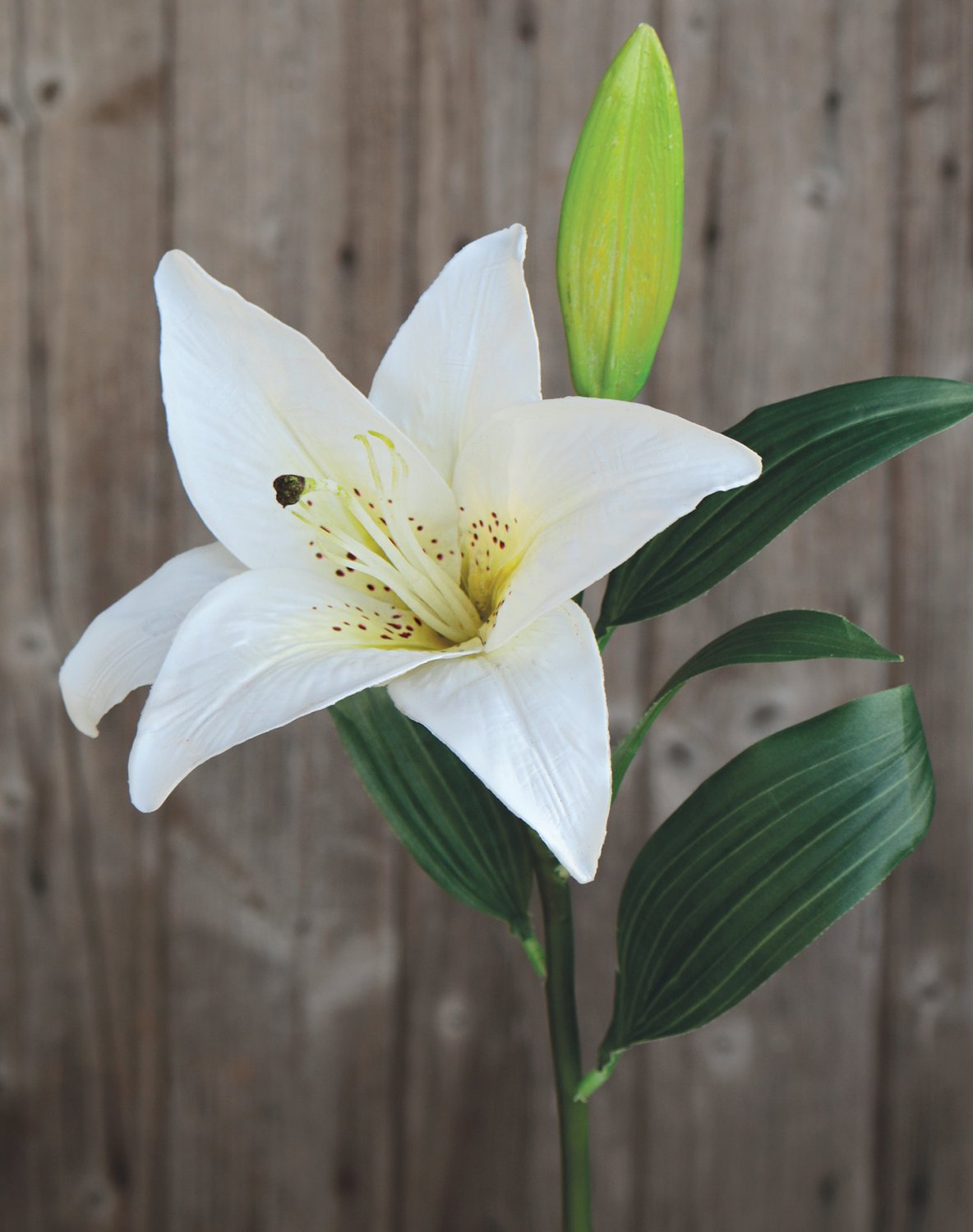 Faux lily, 45 cm, white-green