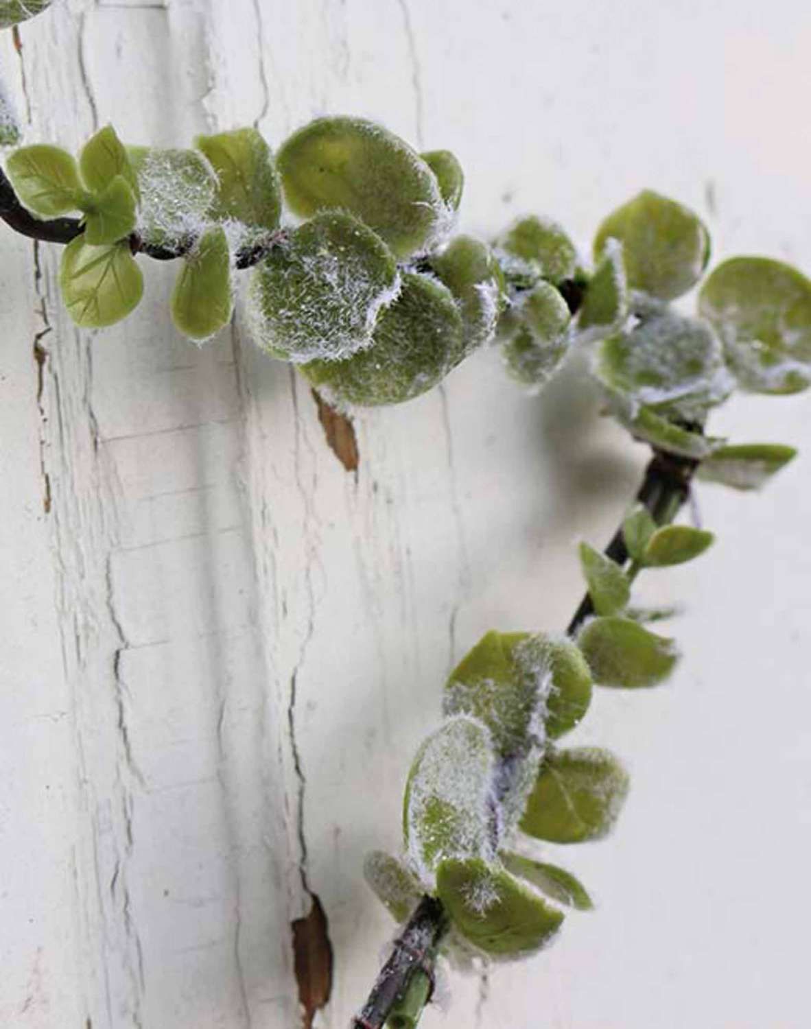 Künstlicher Blätterkranz 'Stern' mit Glitter, Ø35cm, frost-grün