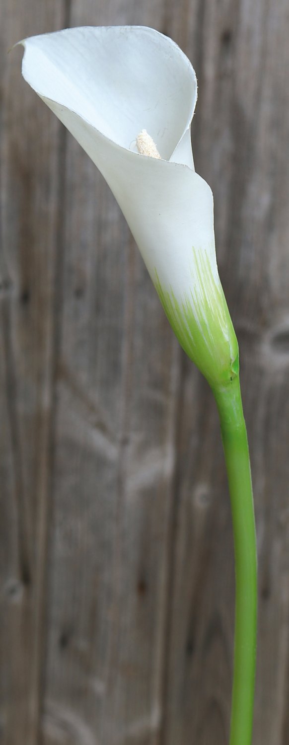 Künstliche Calla aus Kunststoff, 75 cm, weiß