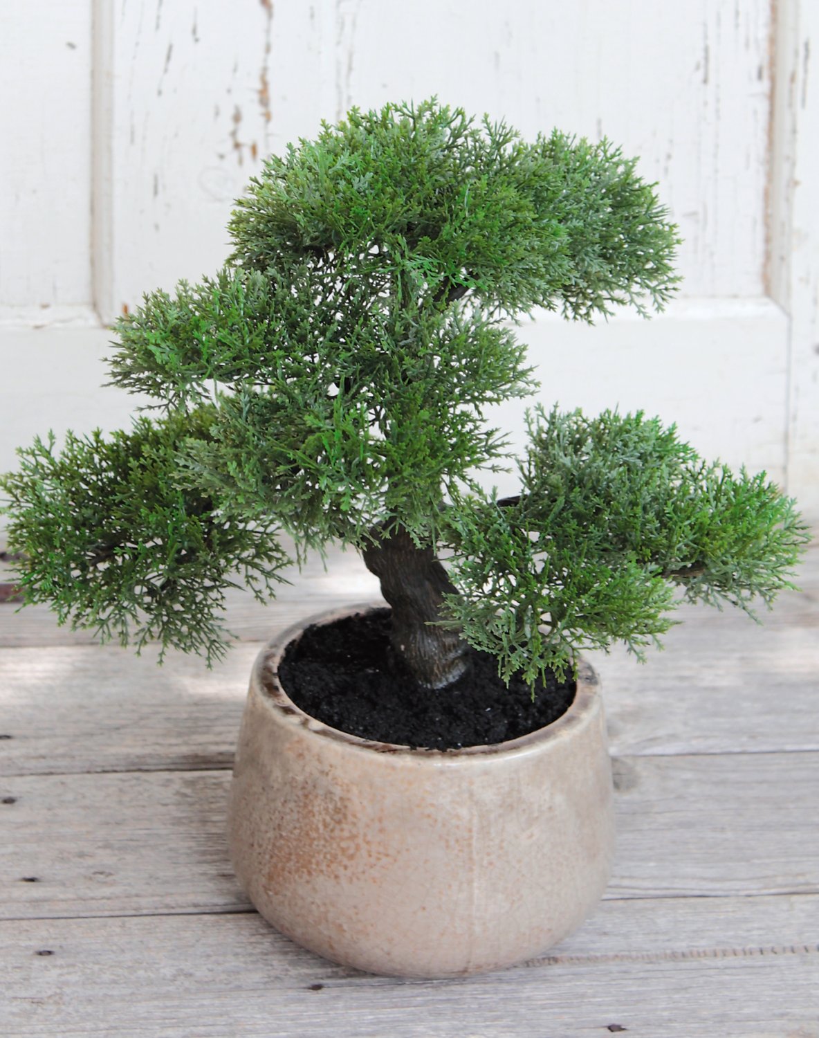 Künstliche Bonsai-Konifere in Keramiktopf, 36 cm, grün