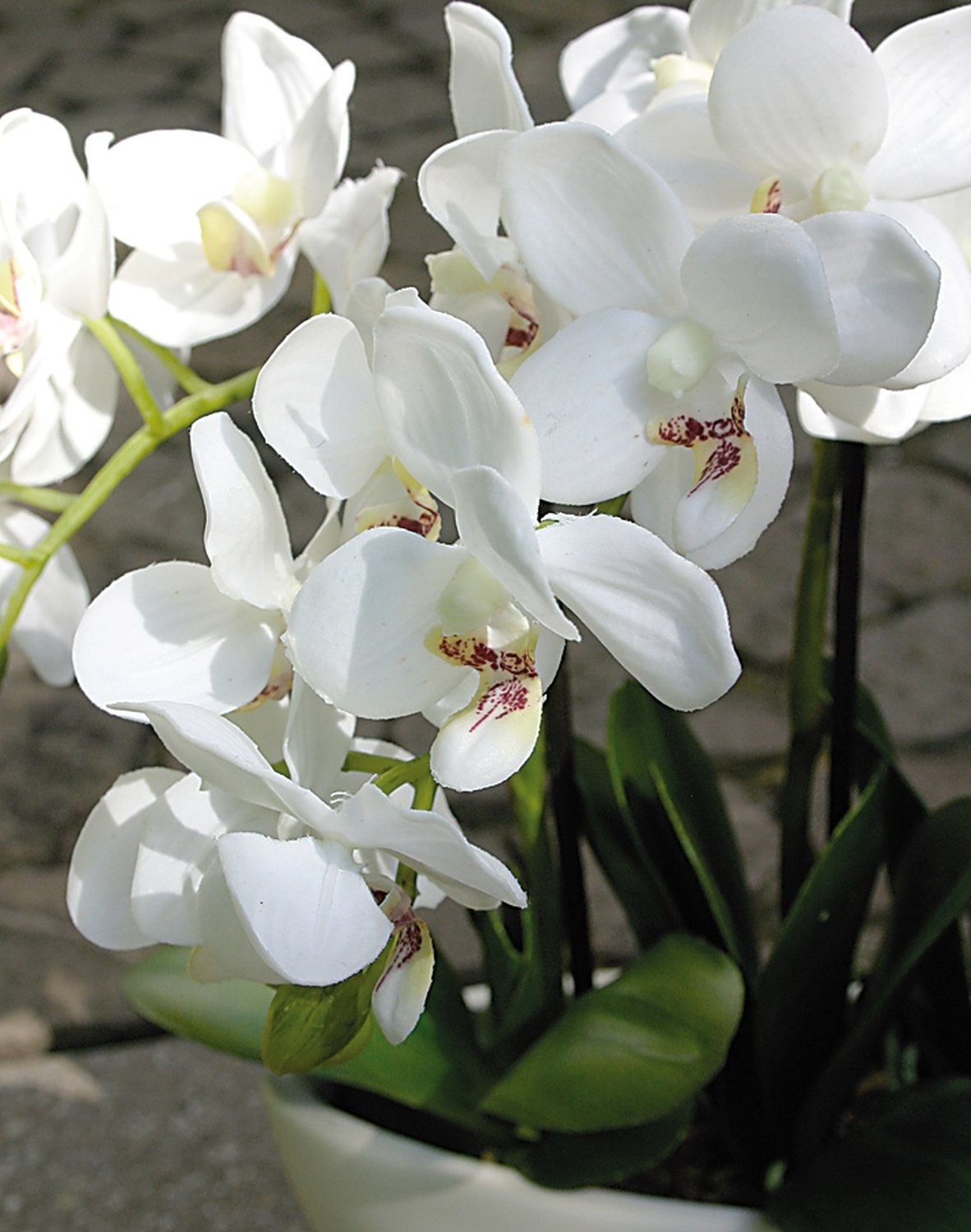 Künstliche Orchidee Phalaenopsis, 3-fach, in Schale, 38 cm, Real Touch, weiß