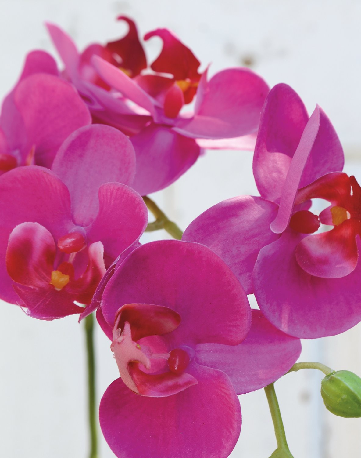 Künstliche Orchidee Phalaenopsis, 80 cm, Real Touch Soft, cerise