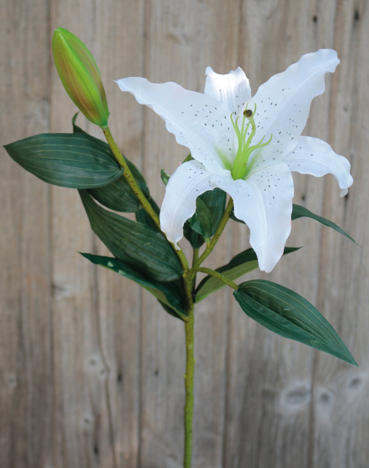 Künstliche Lilie, 1 Blüte, 1 Knospe, 76 cm, weiß-grün