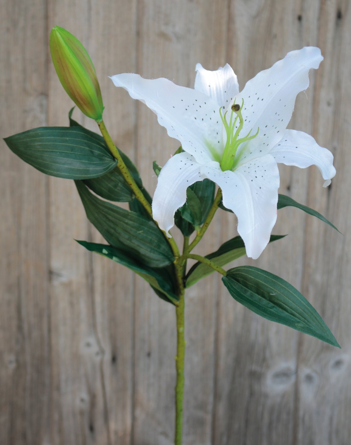 Artificial lily, 1 flower, 1 bud, 76 cm, white-green