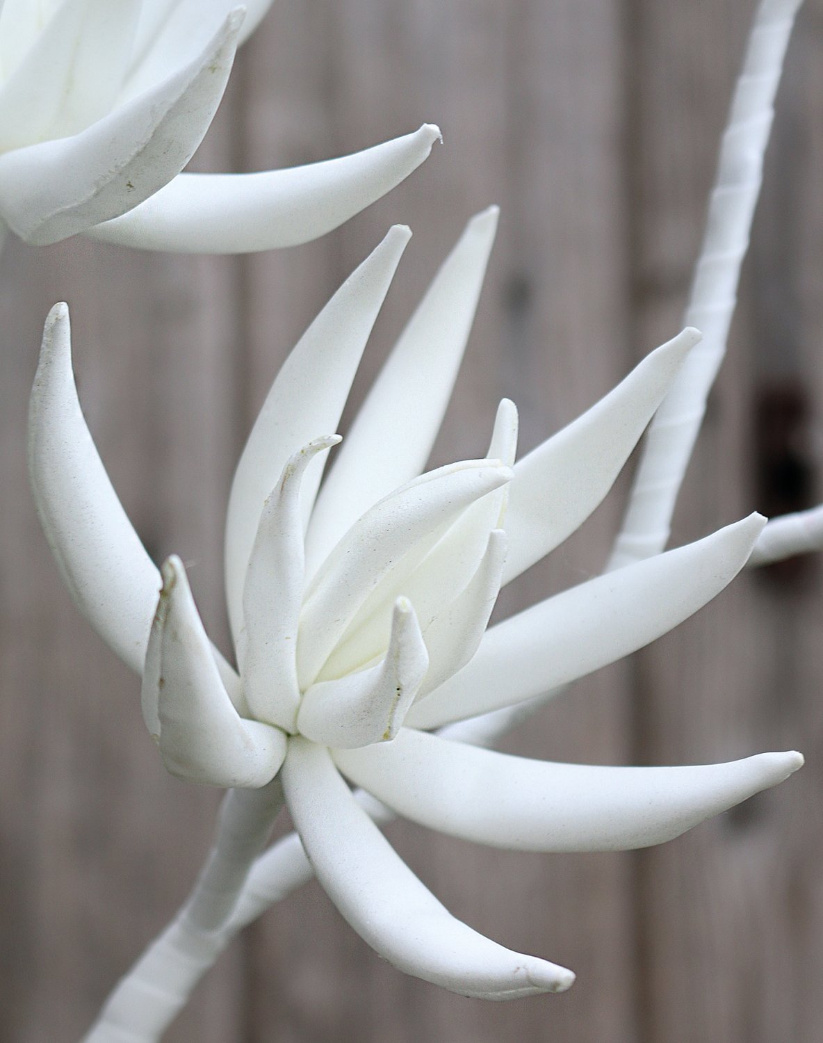 Fiore artificiale Soft 'esotico', 110 cm, bianco puro