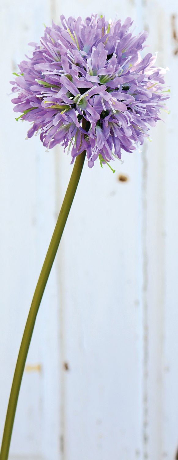 Agapanto artificiale, 62 cm, viola chiaro-viola scuro
