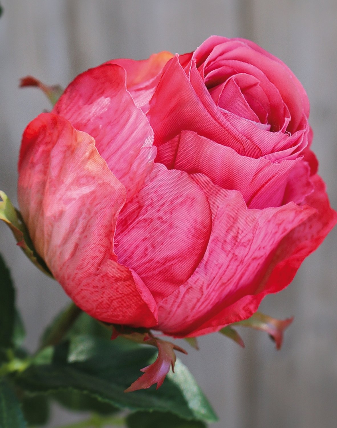 Künstliche Rose, 1 Blüten, 1 Knospen, 80 cm, pink