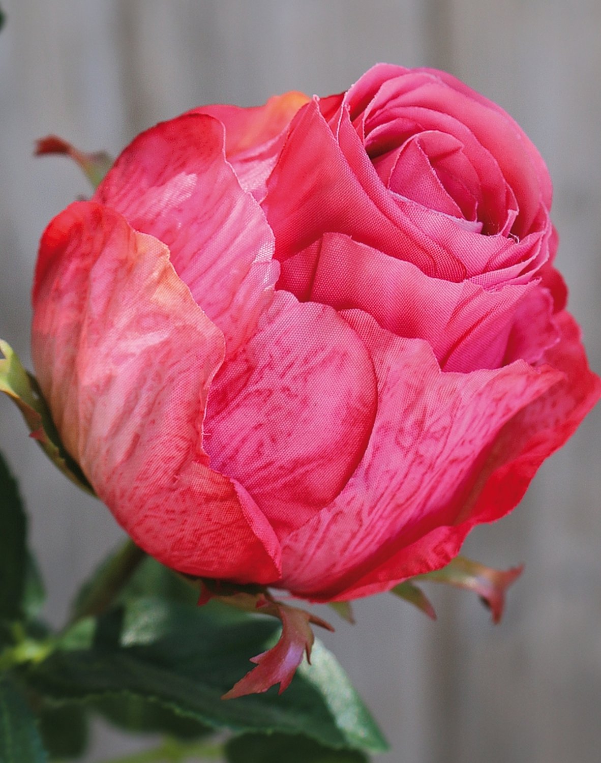 Artificial rose, 1 flower, 1 bud, 80 cm, pink