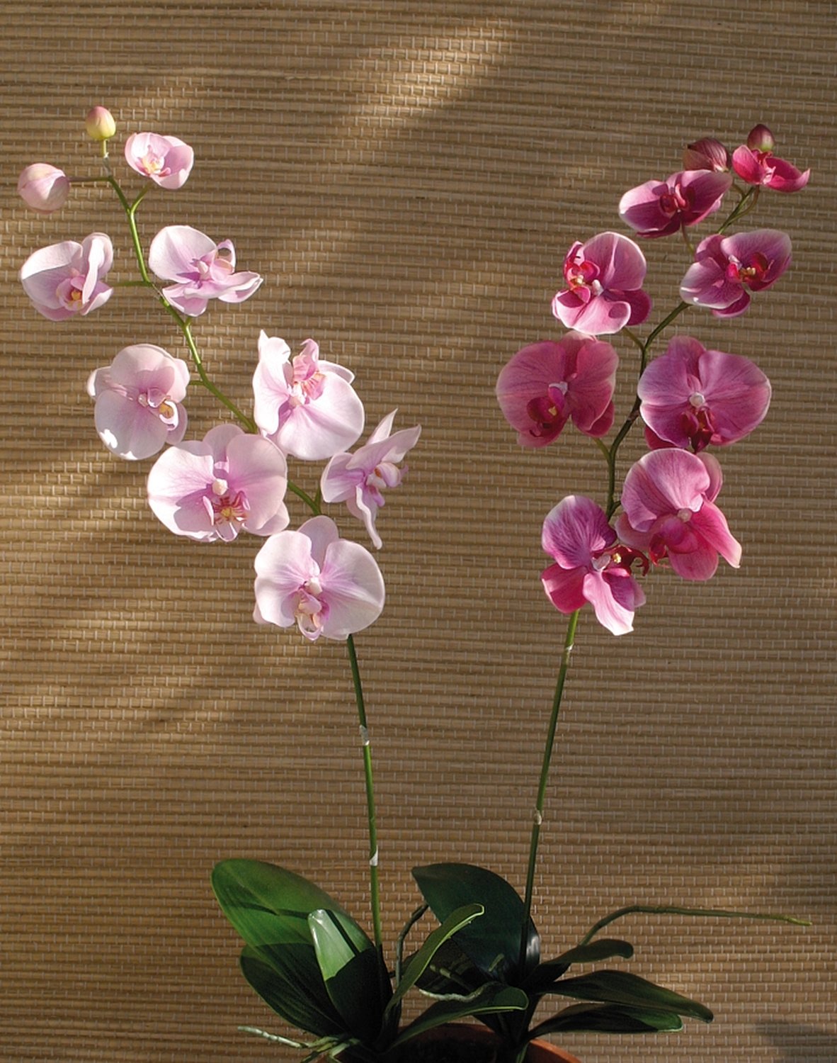 Ohmywor Künstliche Orchidee 50,8 Cm Rosa – Mit 2 Stielen, Kunststofftopf, Für Tisch- & Innendekoration