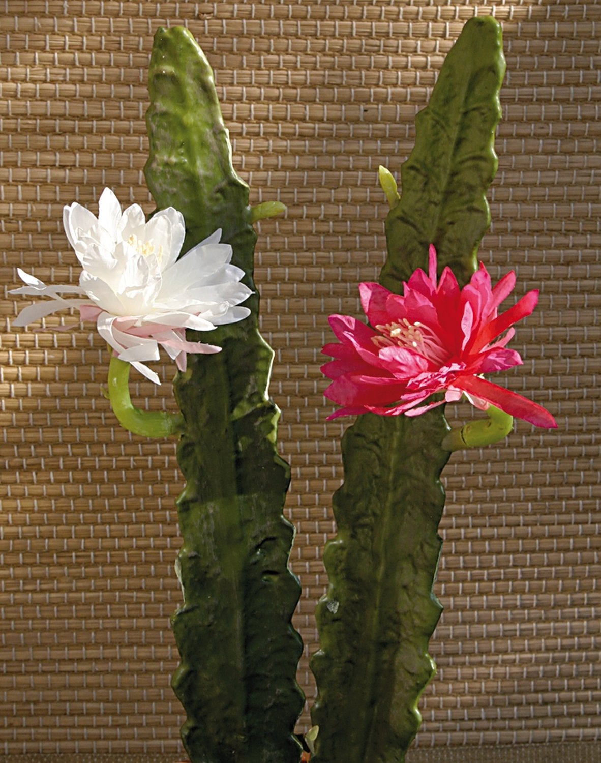 Artificial large-flowered cactus, 52 cm, beige-white