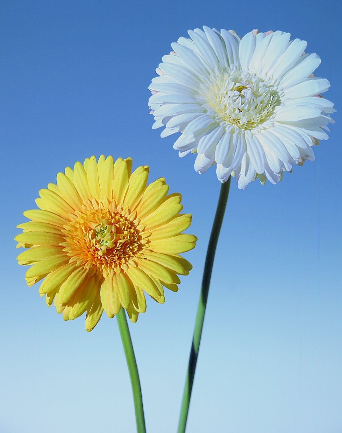 Künstliche Gerbera, 68 cm, gelb