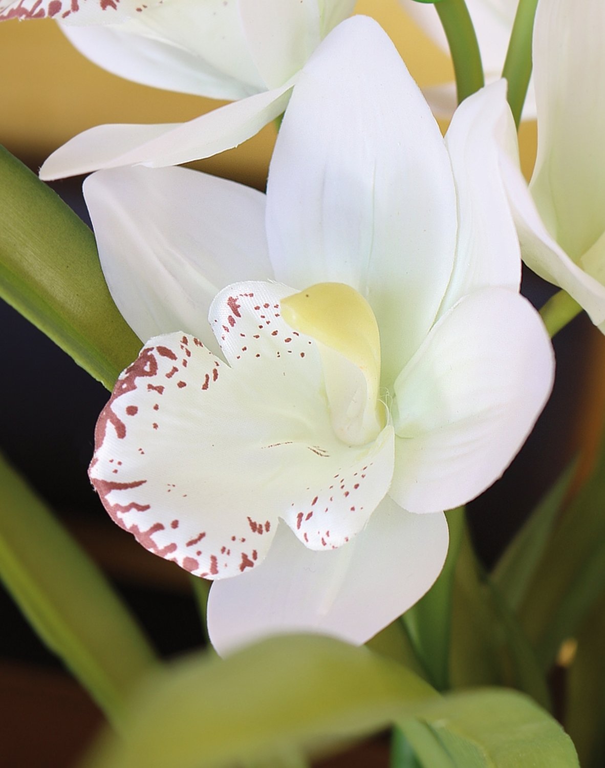 Künstliche Orchidee Cymbidium, getopft, 55 cm, Real Touch Soft, creme-weiß