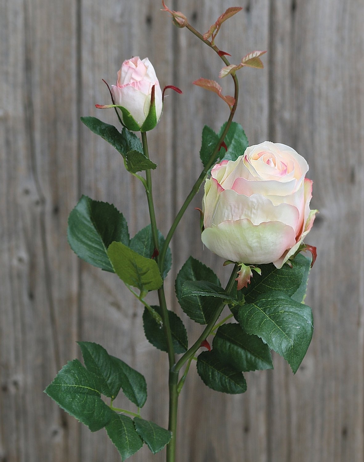 Künstliche Rose, 1 Blüten, 1 Knospen, 80 cm, creme-aprikose