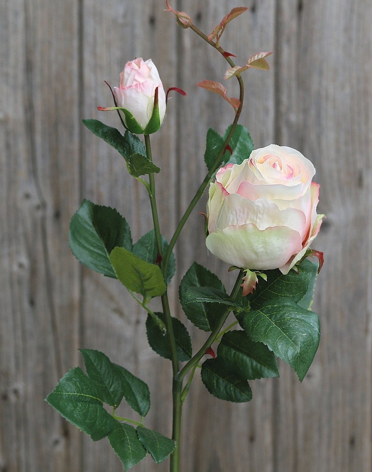 Künstliche Rose, 1 Blüten, 1 Knospen, 80 cm, creme-aprikose Künstliche Rose, 1 Blüten, 1 Knospen, 80 cm, creme-aprikose