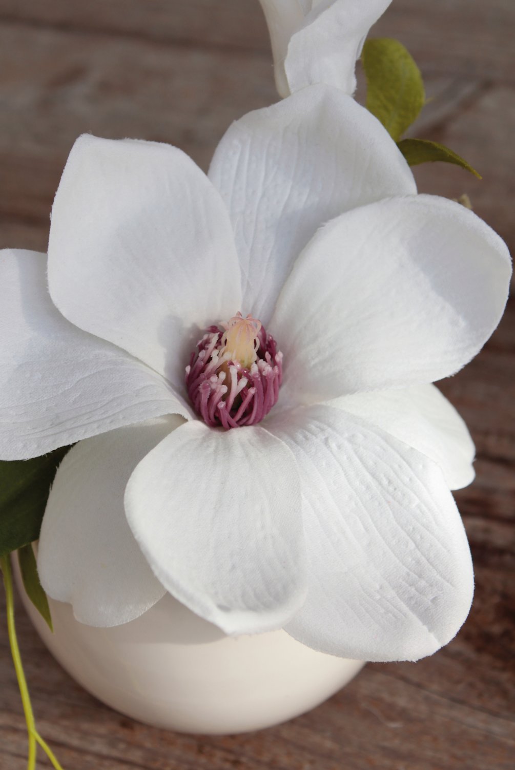 Künstliche Magnolie in Keramiktopf, 15 cm, creme-weiß