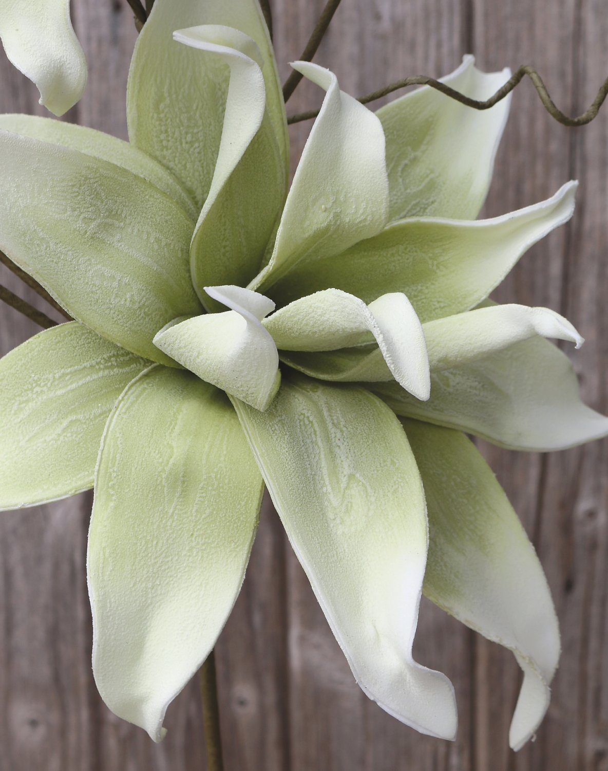 Künstlicher Soft flower 'Blütenzweig', 2 Blüten, 105 cm, grün-weiß