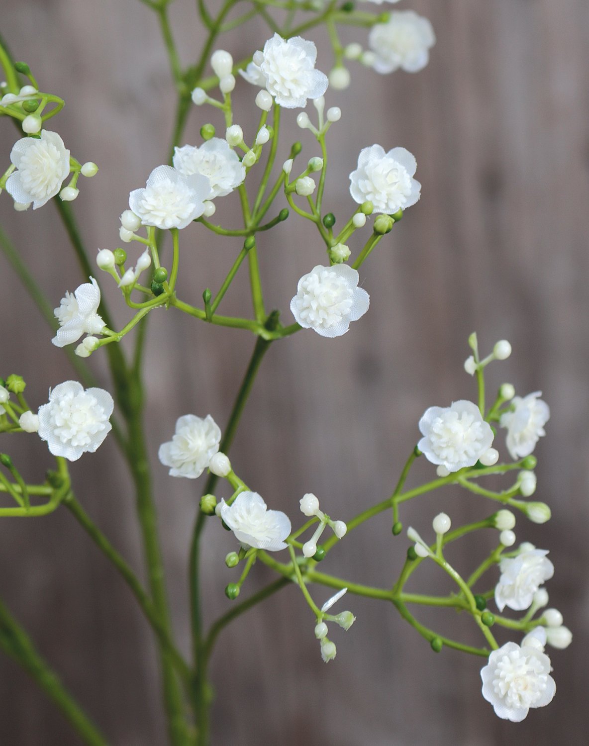 Künstliche Gypsophilia, 70 cm, creme-weiß