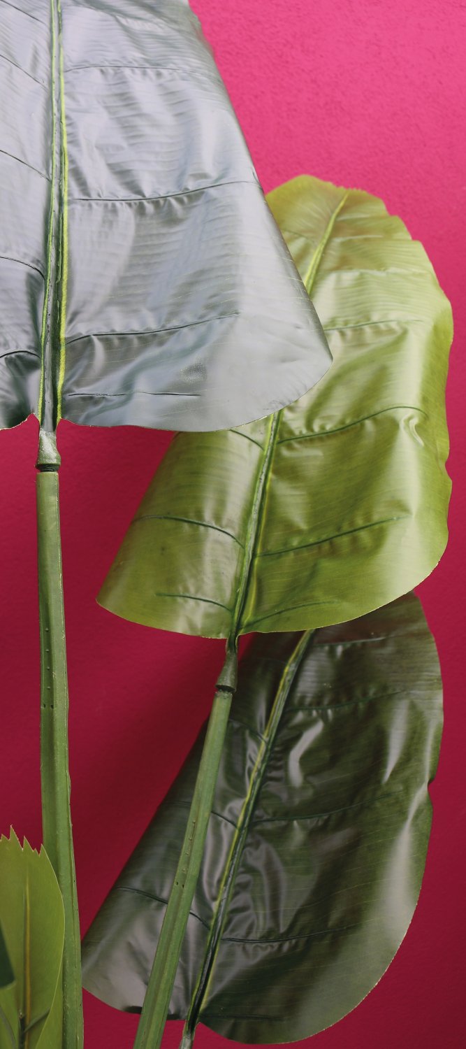 Künstliche Heliconie, getopft, 210 cm, grün