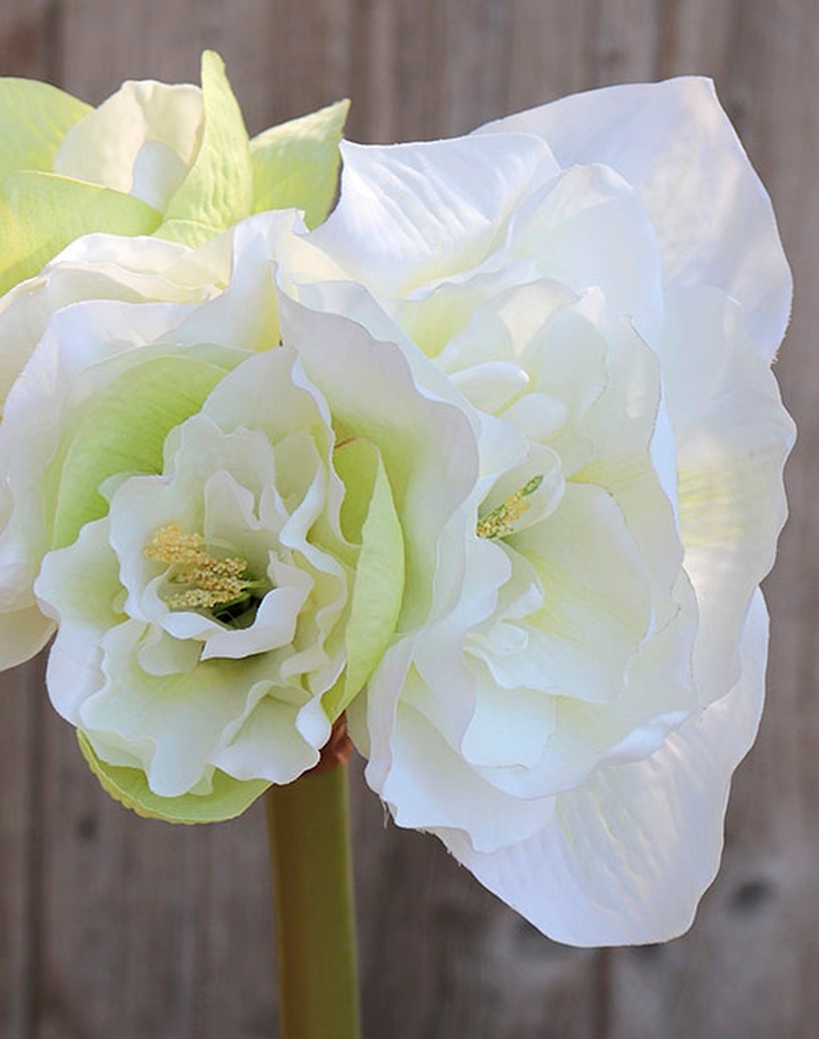 Künstliche Amaryllis, 4-fach, 80 cm, weiß-grün