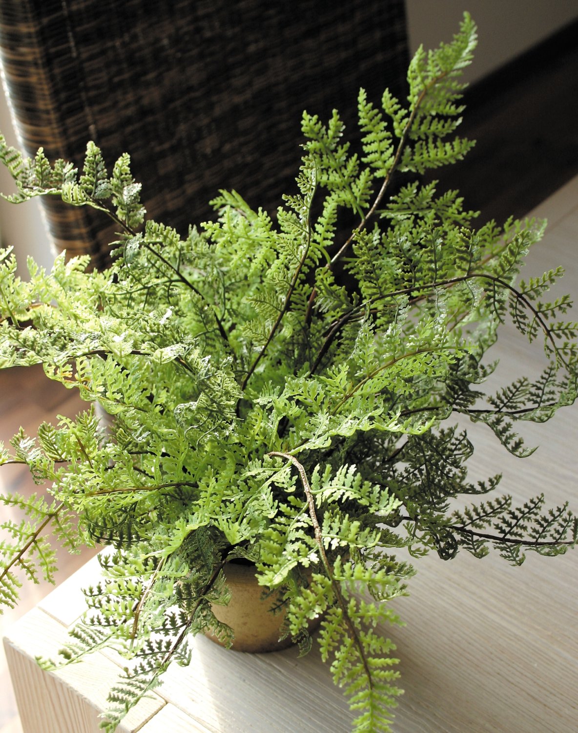 Artificial fern, potted, 20 cm, green