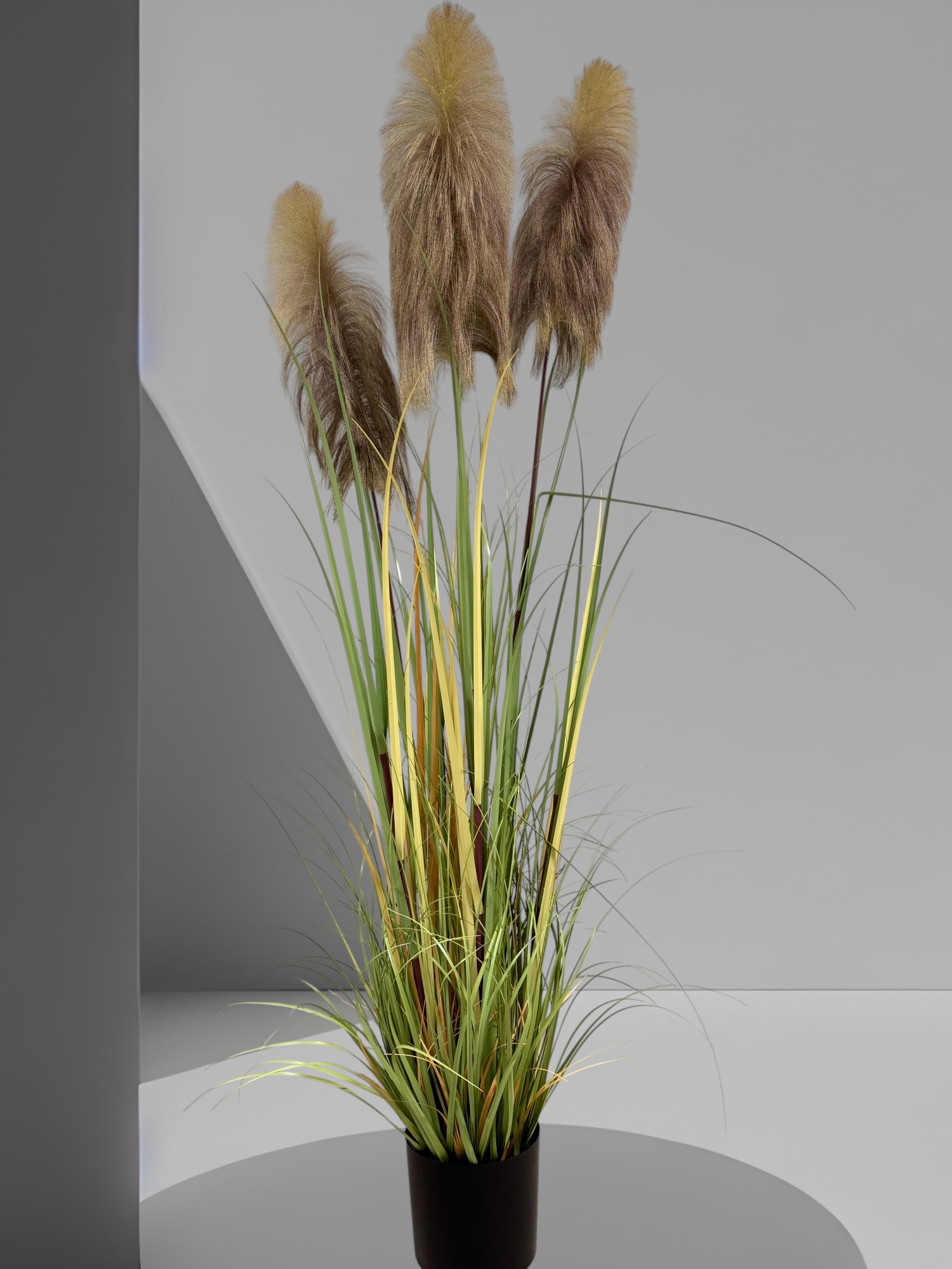 Artificial pampas grass, potted, 180 cm, green-brown