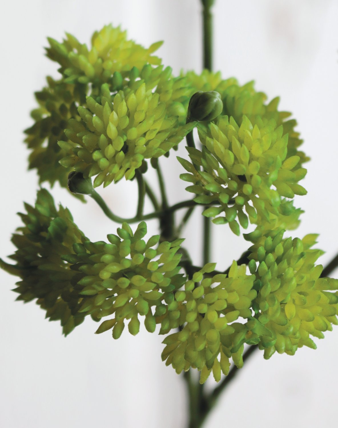 Artificial sedum branch, 32 cm, green