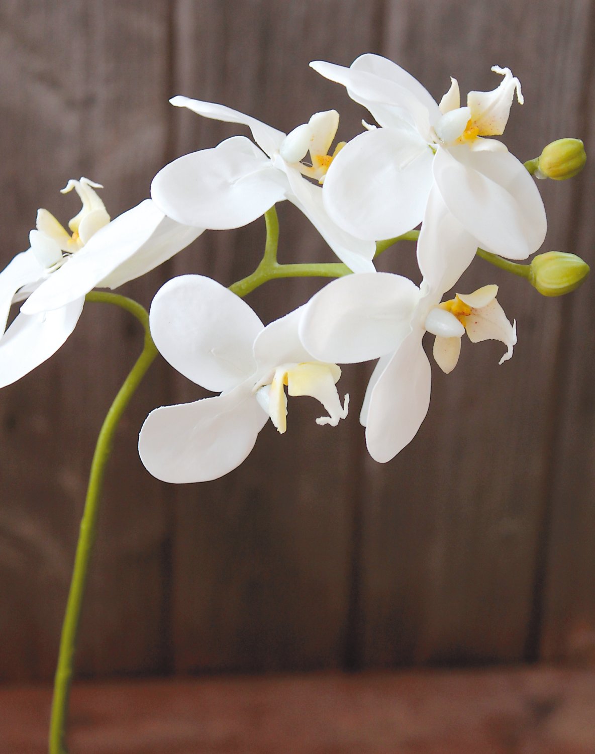 Phalaenopsis de plástico, 37 cm, tacto real suave, blanco Phalaenopsis de plástico, 37 cm, tacto real suave, blanco