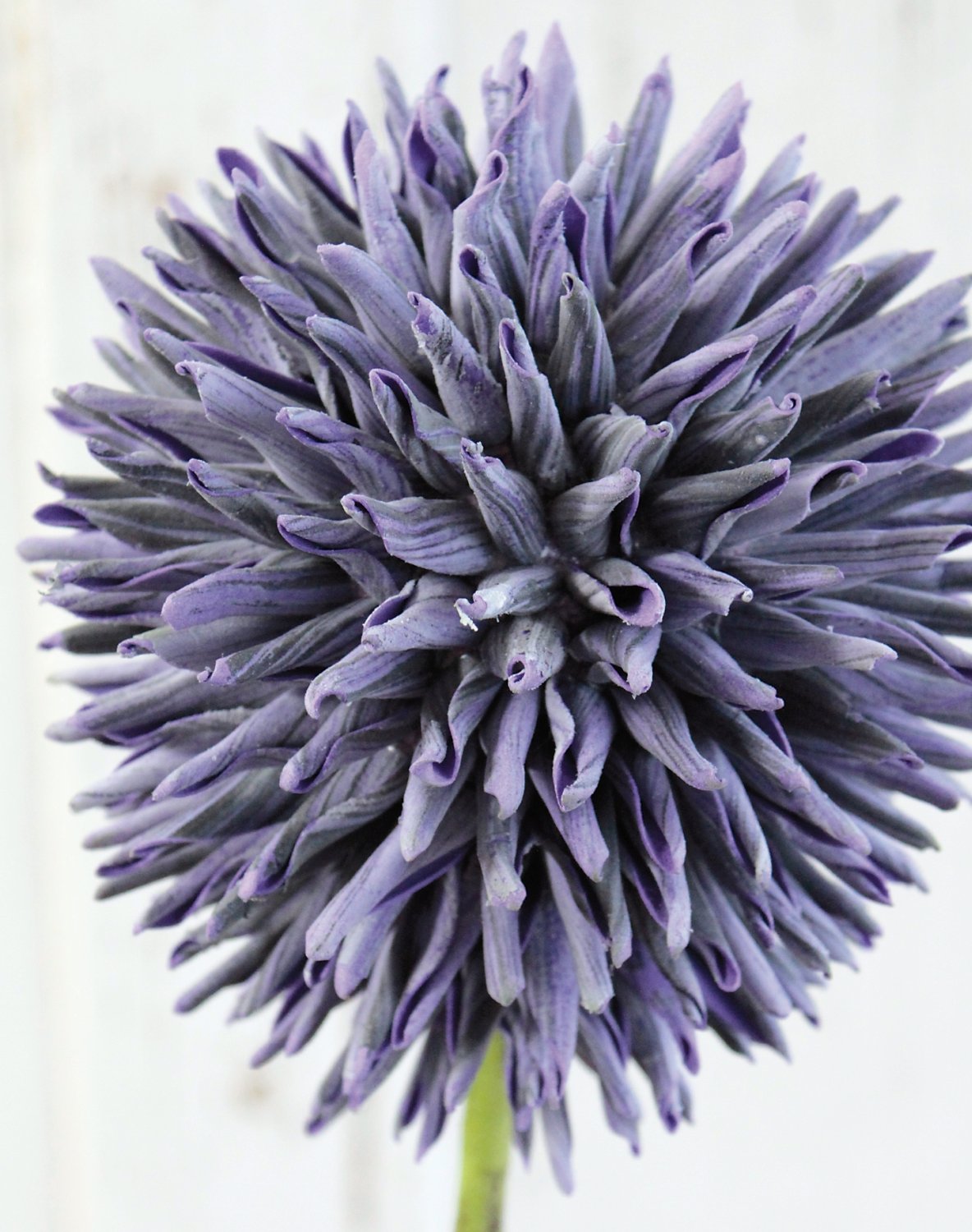 Artificial soft flower 'allium', 80 cm, dark violet