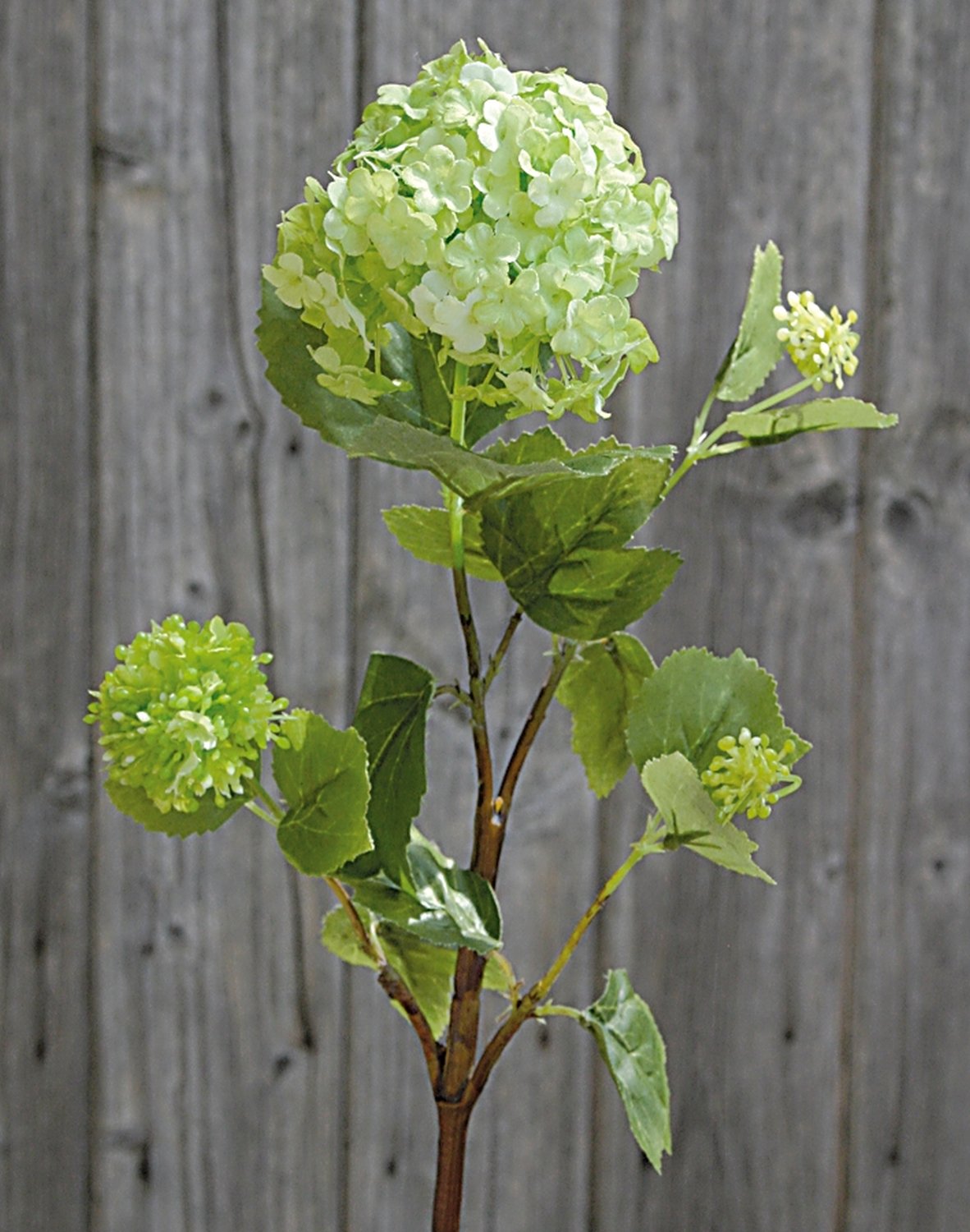 Ramo di viburnum artificiale, 47 cm, crema-verde