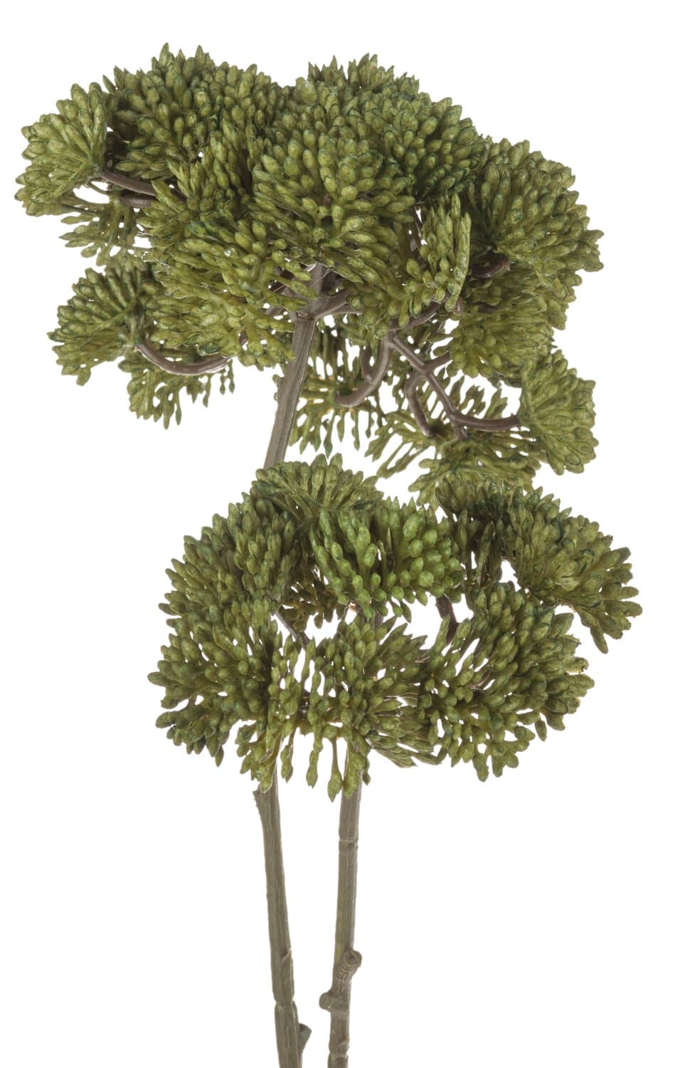 Dekozweig Sedum "Vintage", 70 cm, grün