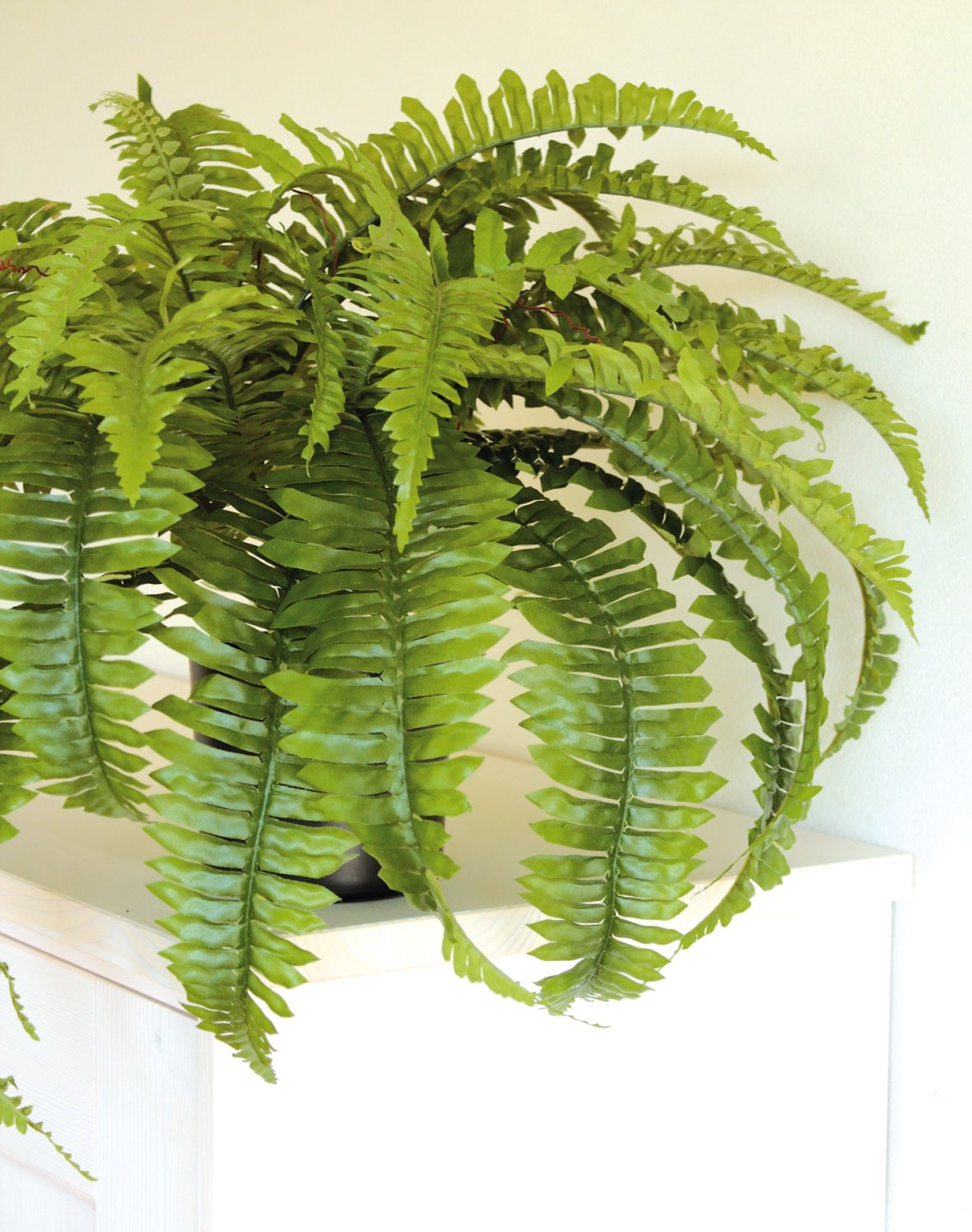 Artificial boston fern, potted, H 45 cm, Ø 75 cm, green