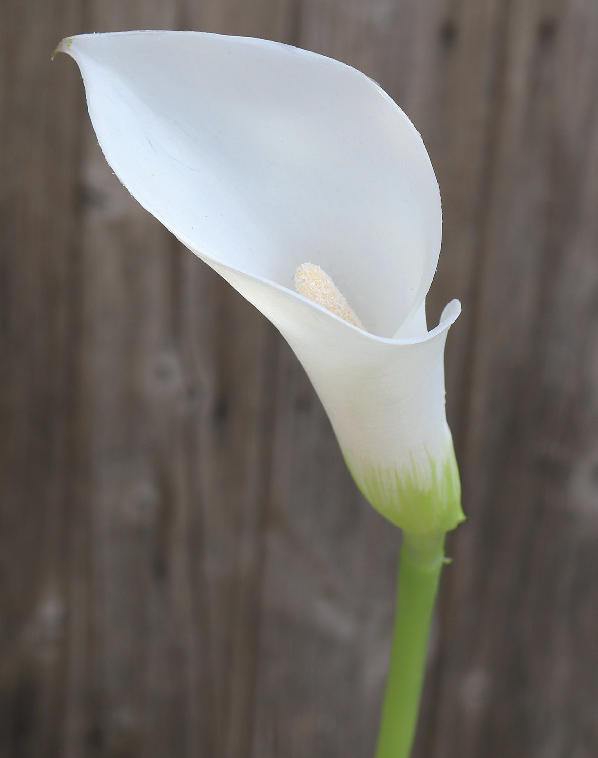 Künstliche Calla aus Kunststoff, 75 cm, weiß