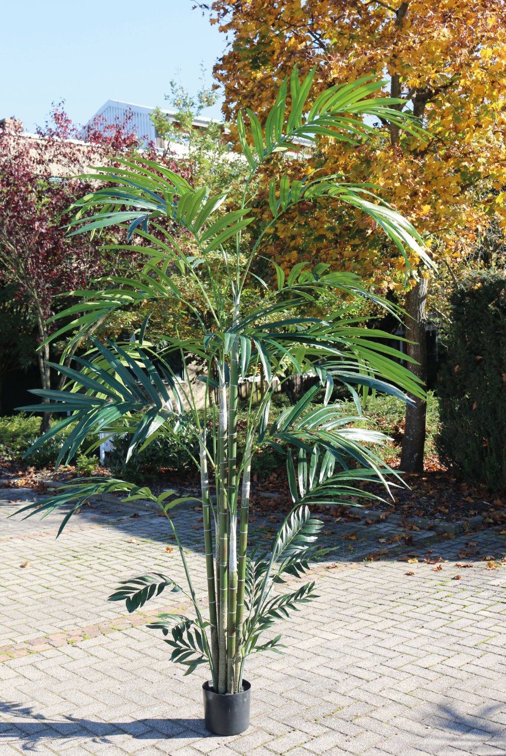 Künstliche Kentia-Palme, getopft, 270 cm, grün