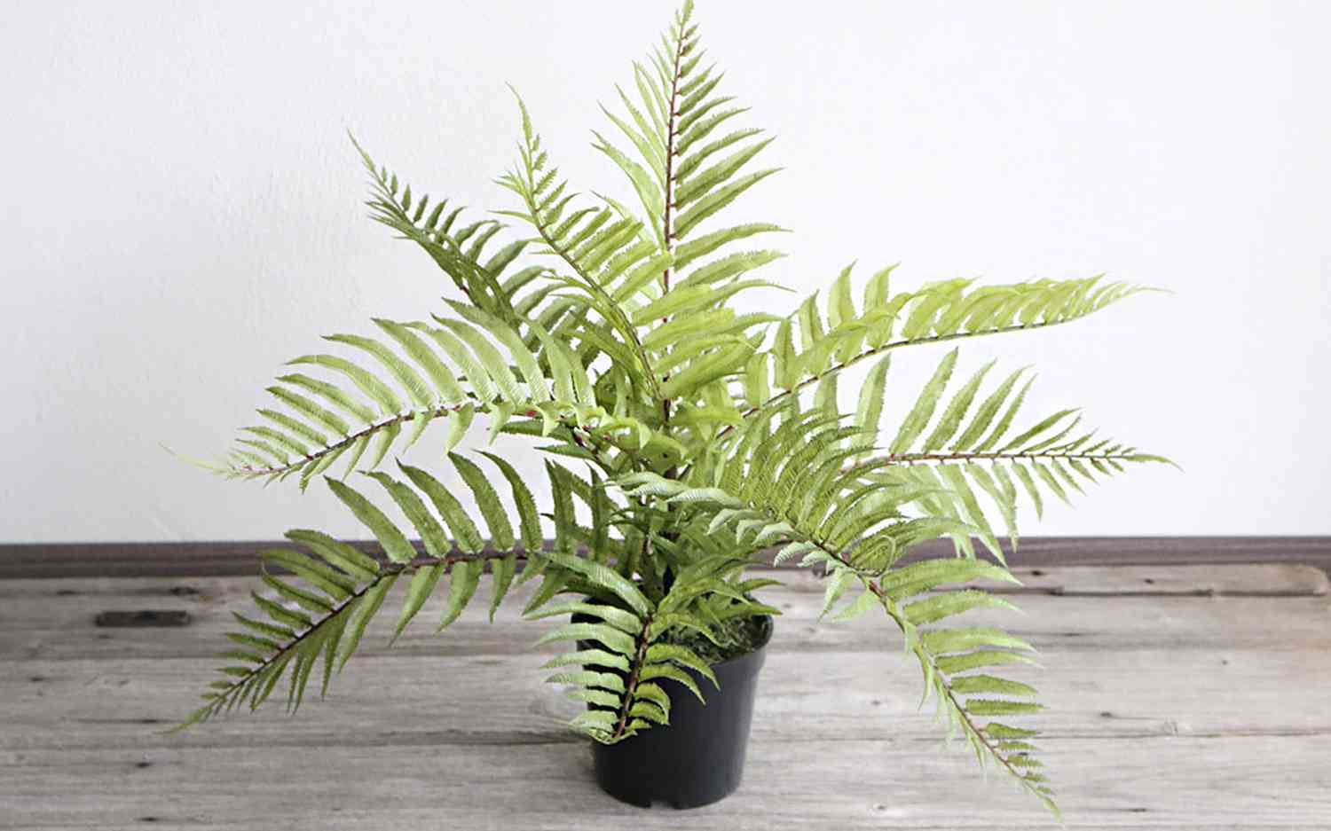 Artificial fern, potted, 45 cm, green