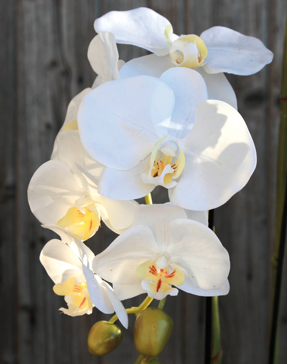 Künstliche Orchidee Phalaenopsis in 'Erde', 2-fach, 62 cm, Real Touch, weiß