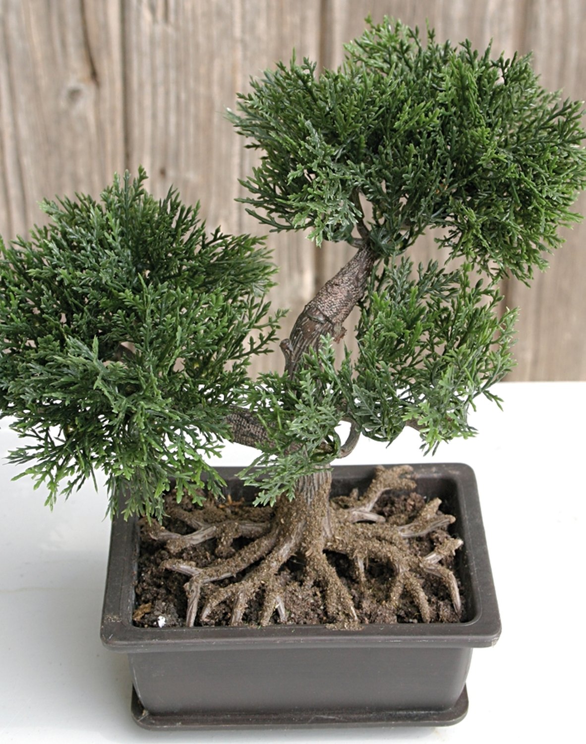 Bonsai artificiale 'Cedro', in vaso, 18 cm, verde