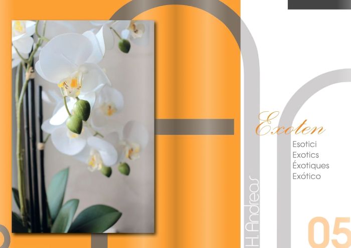 H.Andreas Kunstblumen Katalog 2020 - Exoten Kunstpflanzen Katalog 2020 - Exoten von H.Andreas
