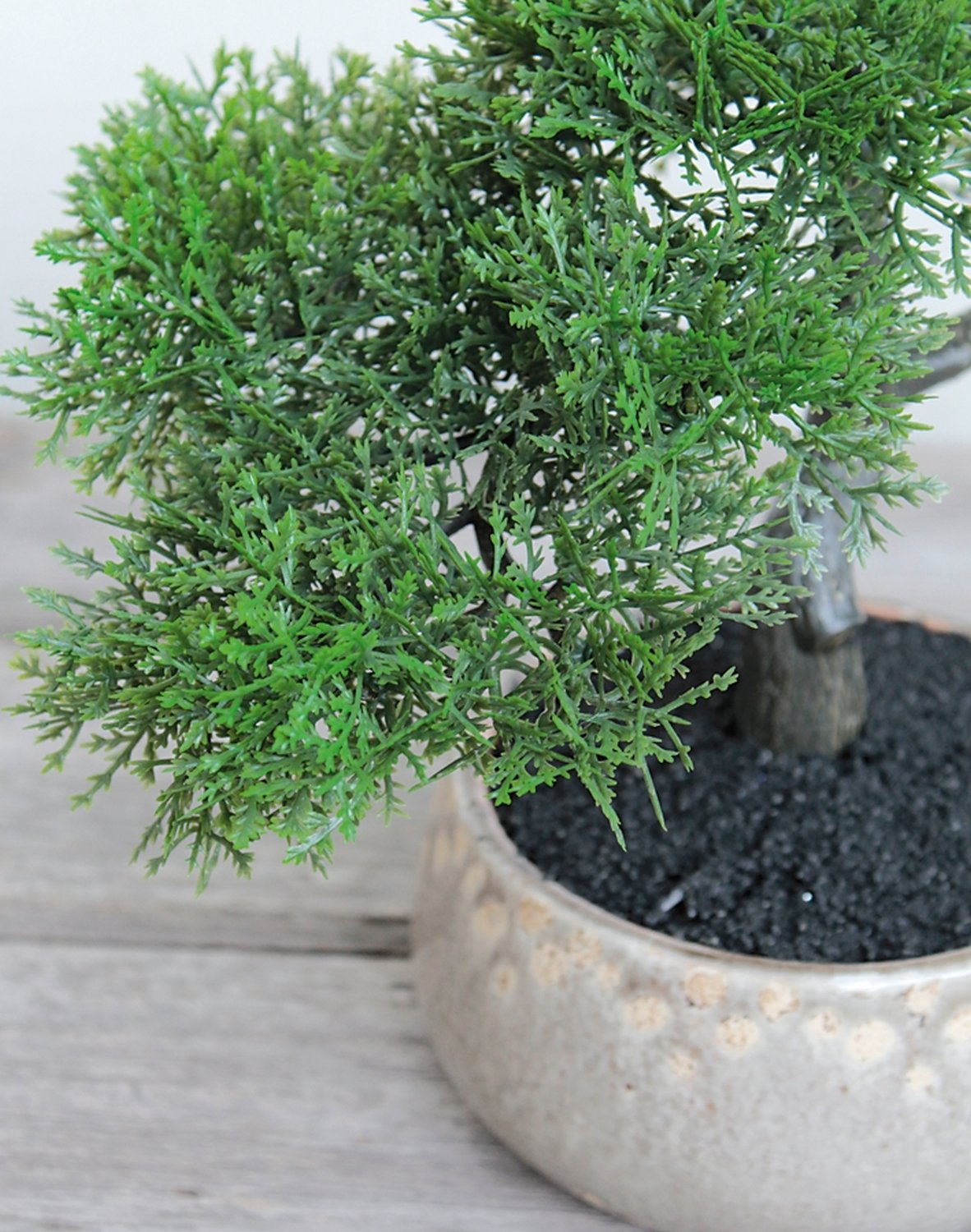 Künstliche Bonsai-Konifere in Keramiktopf, 23 cm, grün